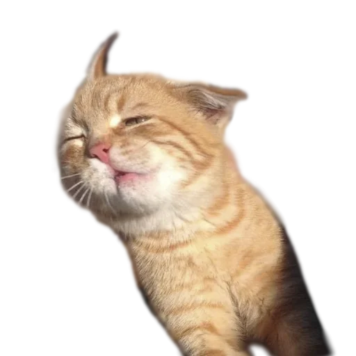 Стикер Наши стикеры - 8