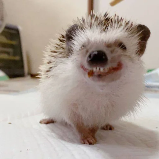 Стикер Наши стикеры - 7