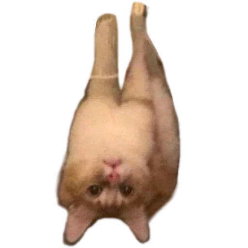 Стикер Наши стикеры - 2