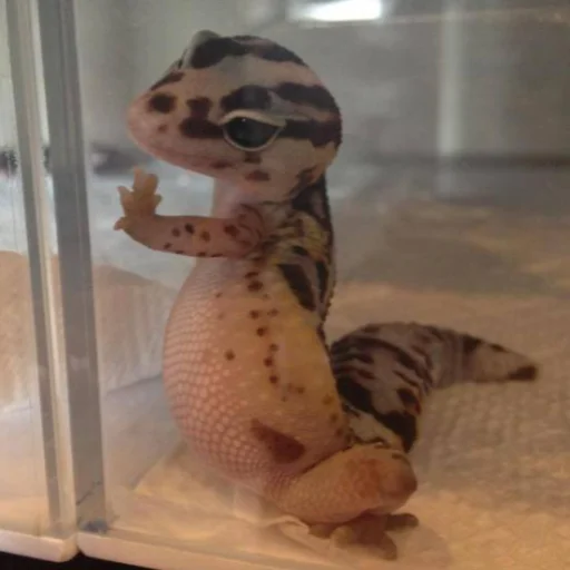 Стикер Наши стикеры - 1