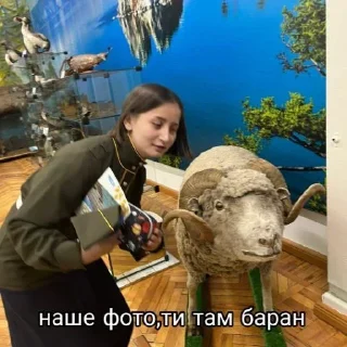 Стикер таня бро на все случаи жизни - 5