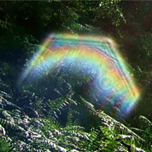 rainbow nature outdoor