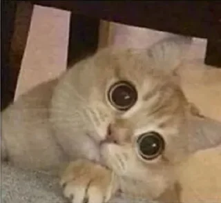 Стикер Taste of hate - 7