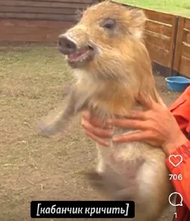 Стикер Taste of hate - 8