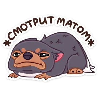 Sticker Тас :: @stickroom - 1