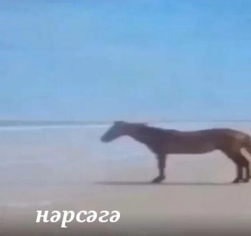 Стикер татарча стикерлар - 9