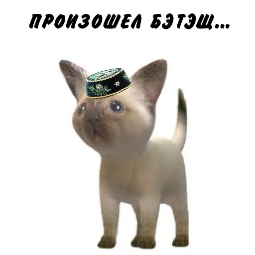 Стикер татарча стикерлар - 6