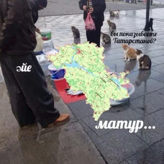 Стикер радные тотарстаны - 8