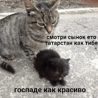 Стикер радные тотарстаны - 3