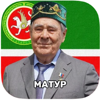 Sticker tatar superstar 🦧 - 7