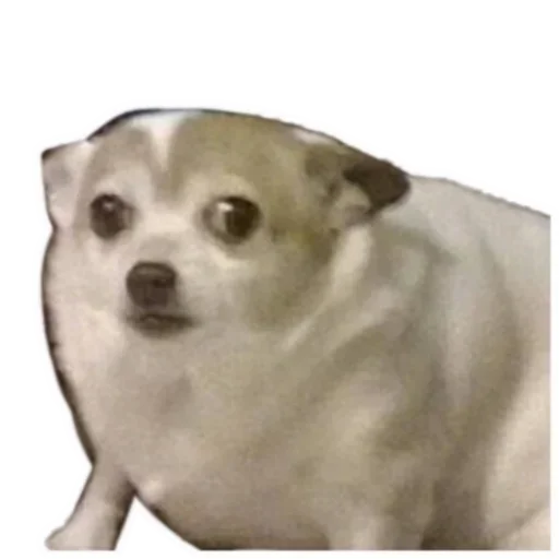 Стикер Таюша's love :: @fStikBot - 3