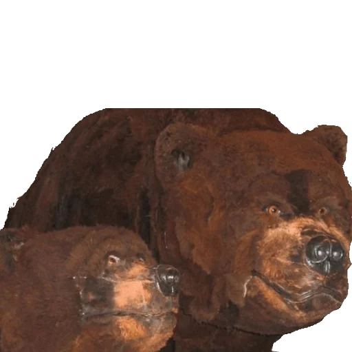 собака искусство животное