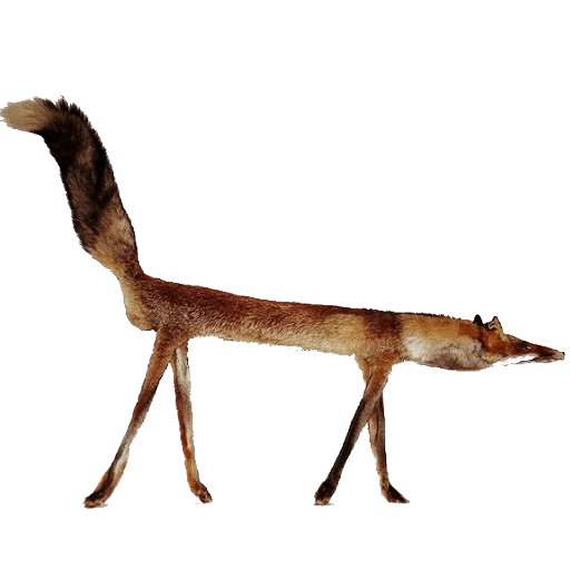 животное млекопитающее динозавр