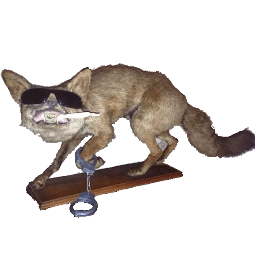 mammal animal dinosaur