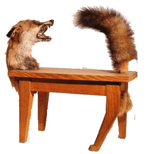 furniture mammal animal