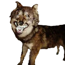 taxiderm - животное