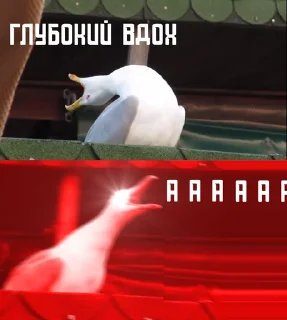 Sticker Тайный заговор 21+ - 11