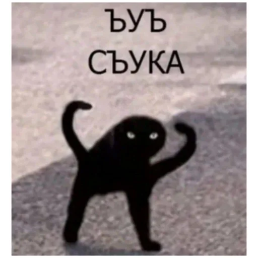 мемы (@emopix) - 