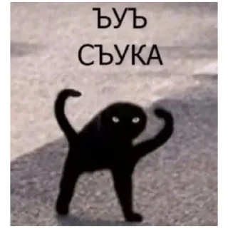 Sticker мемы (@emopix) - 7