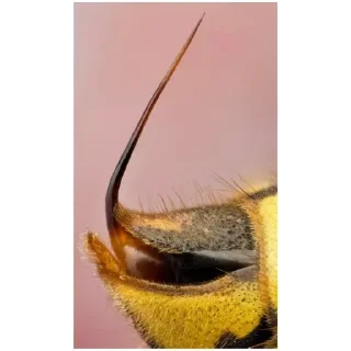 Sticker стикеры (@emopix) - 1