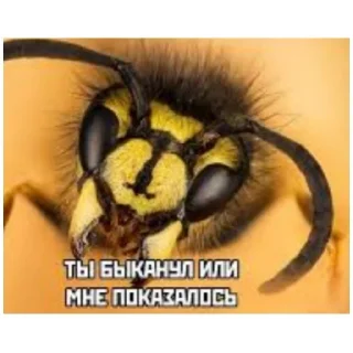 Sticker стикеры (@emopix) - 5