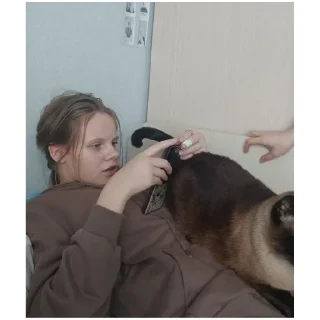 Стикер М. О. Я. Я - 10