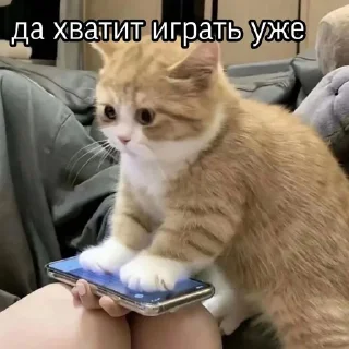 Sticker ૮₍ ˶ᵔ ᵕ ᵔ˶ ₎ა  ˗ˏˋ ♡ ˎˊ˗ - 11