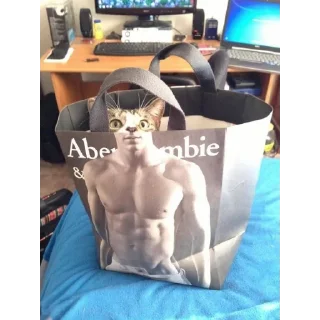 Sticker мемные коты 😂 (@emopix) - 1