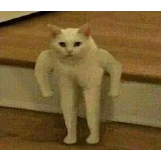 Sticker мемные коты 😂 (@emopix) - 5