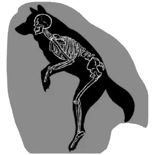 Sticker Quadrobika/theriantropiya❤️‍🔥 (@emopix) - 0