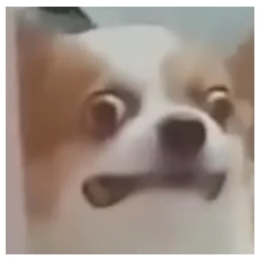 попа👉👌😫 (@emopix) - 