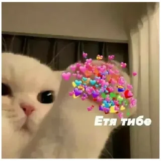 Стикер котики💓 - 3