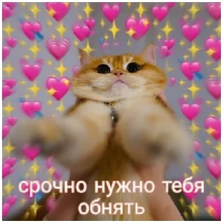Стикер котики💓 - 5