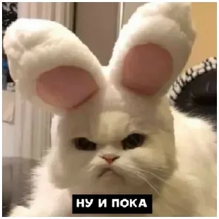 Стикер котики💓 - 7