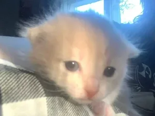 Sticker Больше стикеров → @funny_stickerss - 2