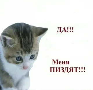 Sticker Больше стикеров → @funny_stickerss - 3