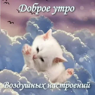 Sticker Больше стикеров → @funny_stickerss - 10