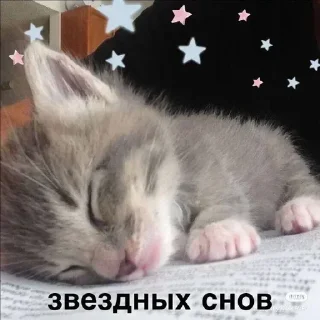 Sticker Больше стикеров → @funny_stickerss - 4