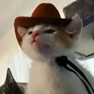 Sticker Больше стикеров → @funny_stickerss - 6