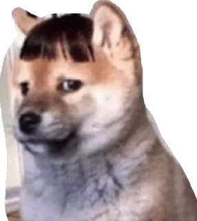 Sticker meme team - 7