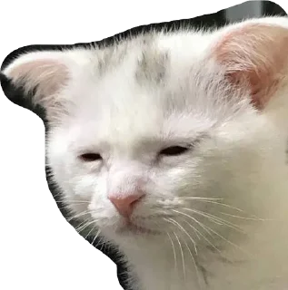 Sticker meme team - 9