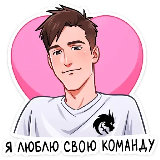 Sticker Team Spirit - 2