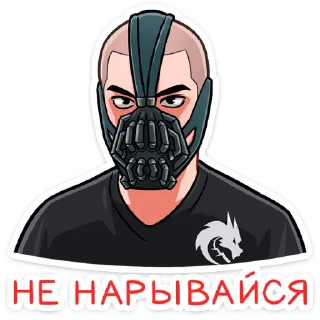 Sticker Team Spirit - 10