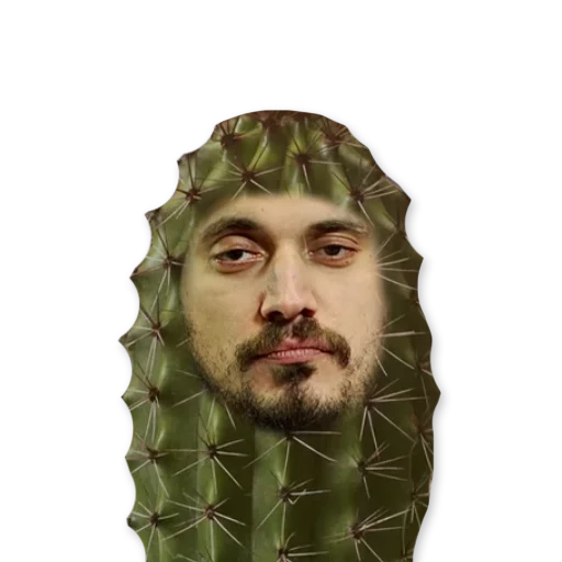 human face human beard man