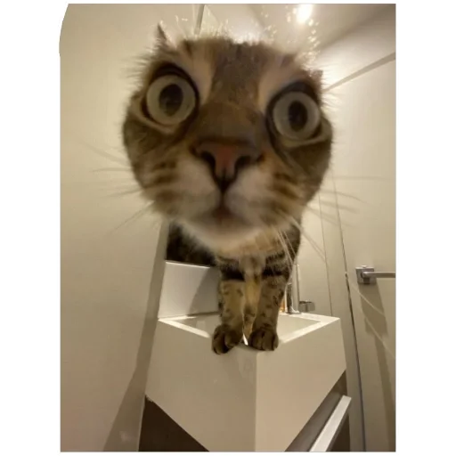 Mem happy,канал в Ютубе) (@emopix) - 