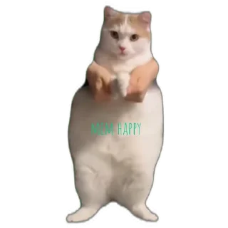 Стикер Mem happy,канал в Ютубе) (@emopix) - 11