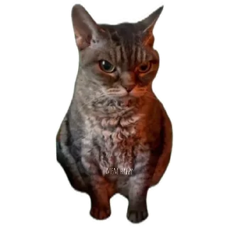 Стикер Mem happy,канал в Ютубе) (@emopix) - 7