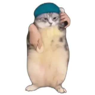 Стикер Mem happy,канал в Ютубе) (@emopix) - 10