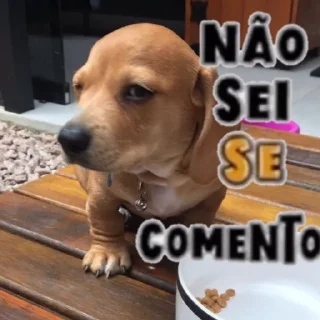 Sticker mais telexorros - 3