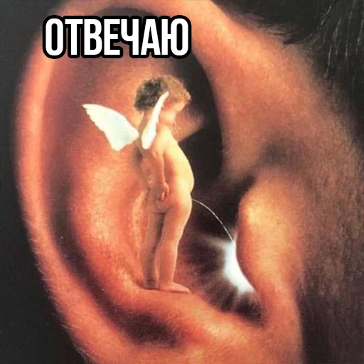 Стикер $kyм - 1